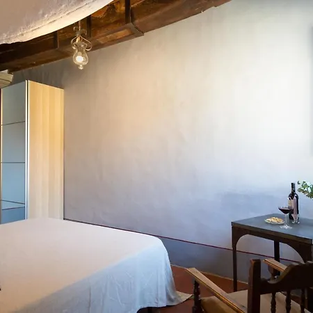 Fracassini فيلة *