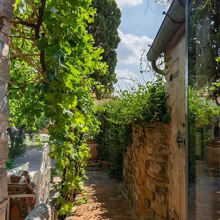 Fracassini فيلة Pergine Valdarno