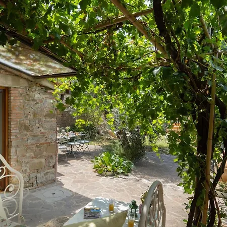 Fracassini * Pergine Valdarno