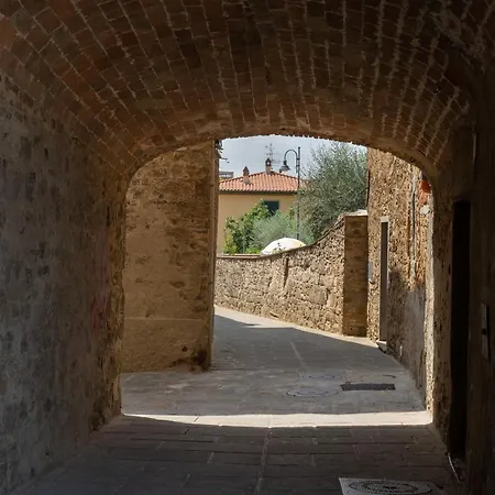 فيلة Fracassini *