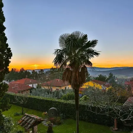 فيلة Fracassini *